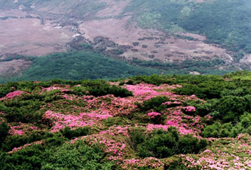 平治岳