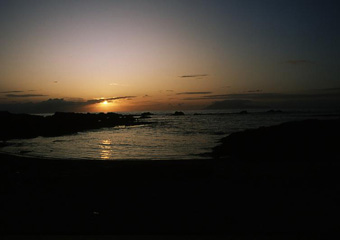 夕日