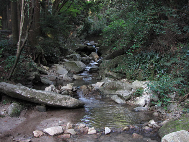 山中キャンプ場